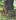 CCF02042015_00001