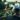 CCF28052015_00000 (2)