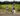 CCF08092015_00011