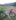 DSCF7697 (2)