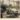 CCI17122015_00001 (3) (496x688)